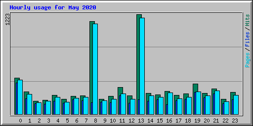 Hourly usage for May 2020